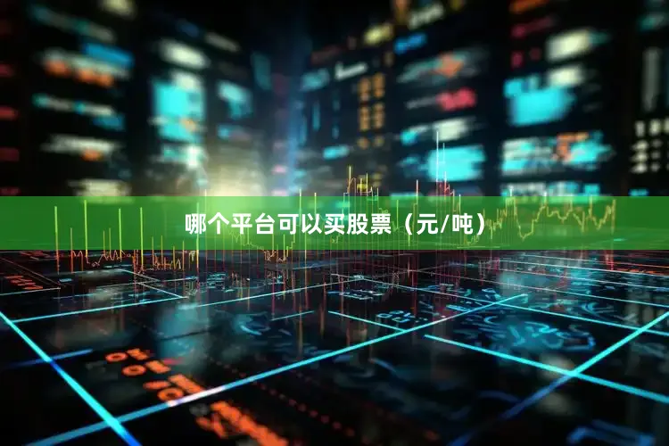 哪个平台可以买股票（元/吨）