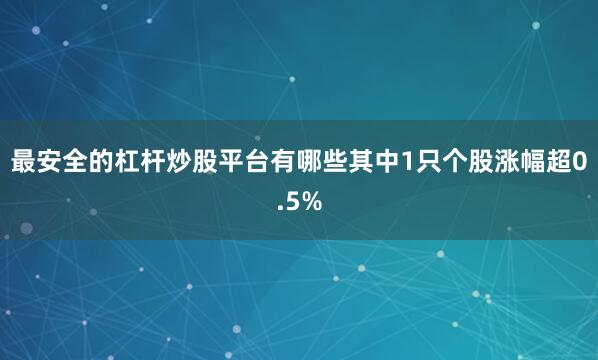 最安全的杠杆炒股平台有哪些其中1只个股涨幅超0.5%