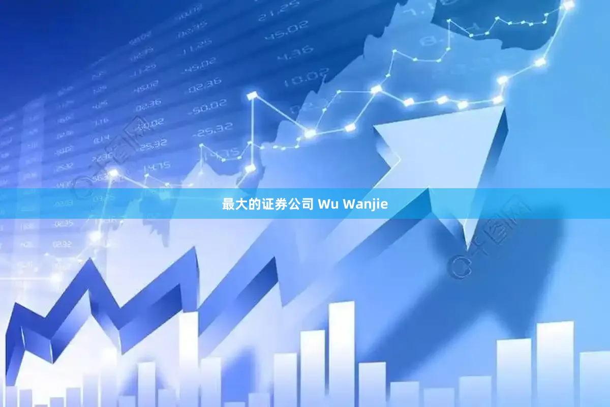 最大的证券公司 Wu Wanjie